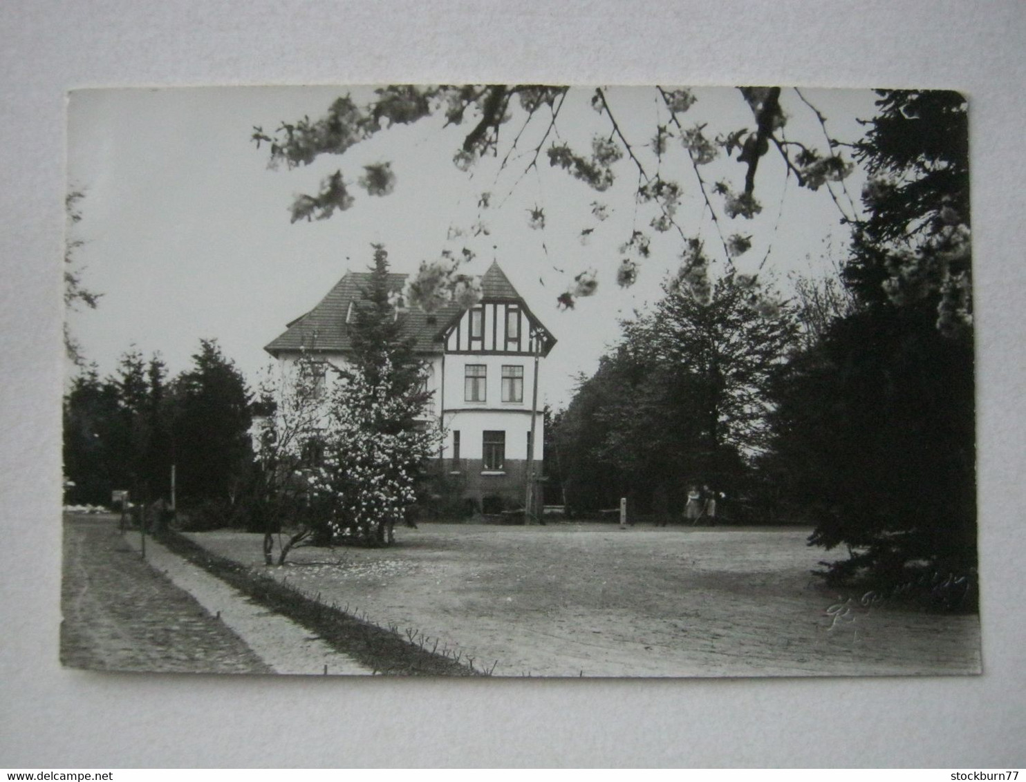LÜBTHEEN , Fotokarte  (Fotograf : R.Pfähler aus Lübtheen),   Schöne   Karte   ,               2 Abbildungen