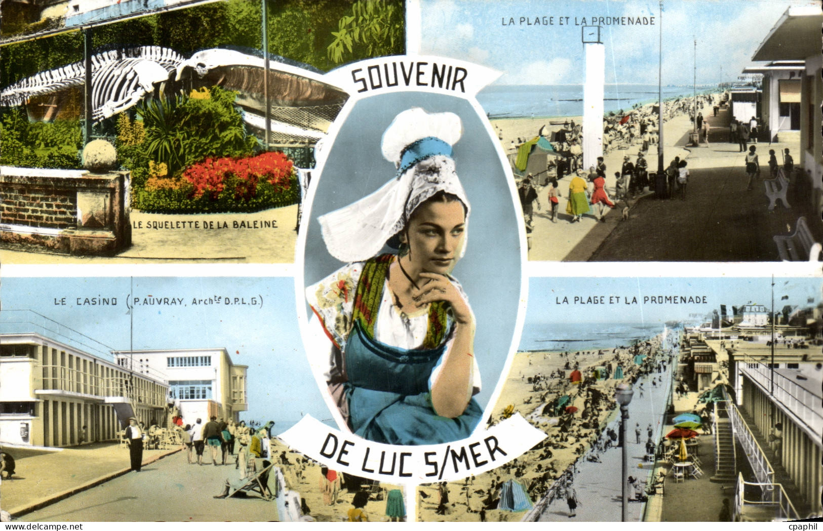 Luc sur Mer CPA Souvenir (baleine casino)