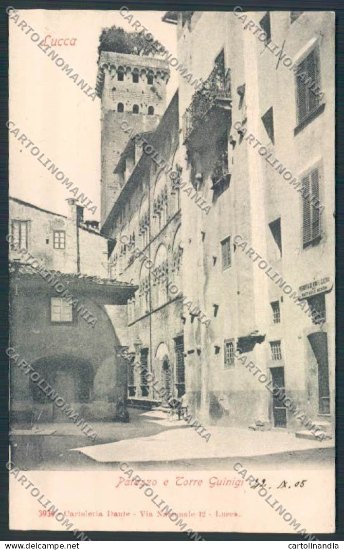 Lucca Città cartolina MV3809