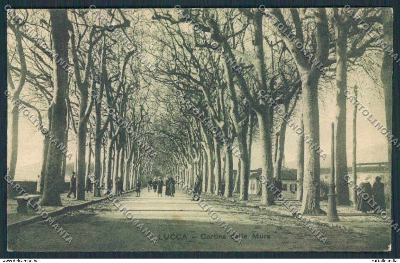 Lucca Città cartolina MV3815