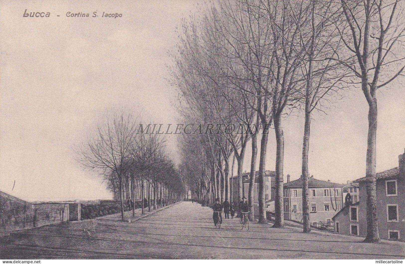 LUCCA - Cortina S.Iacopo