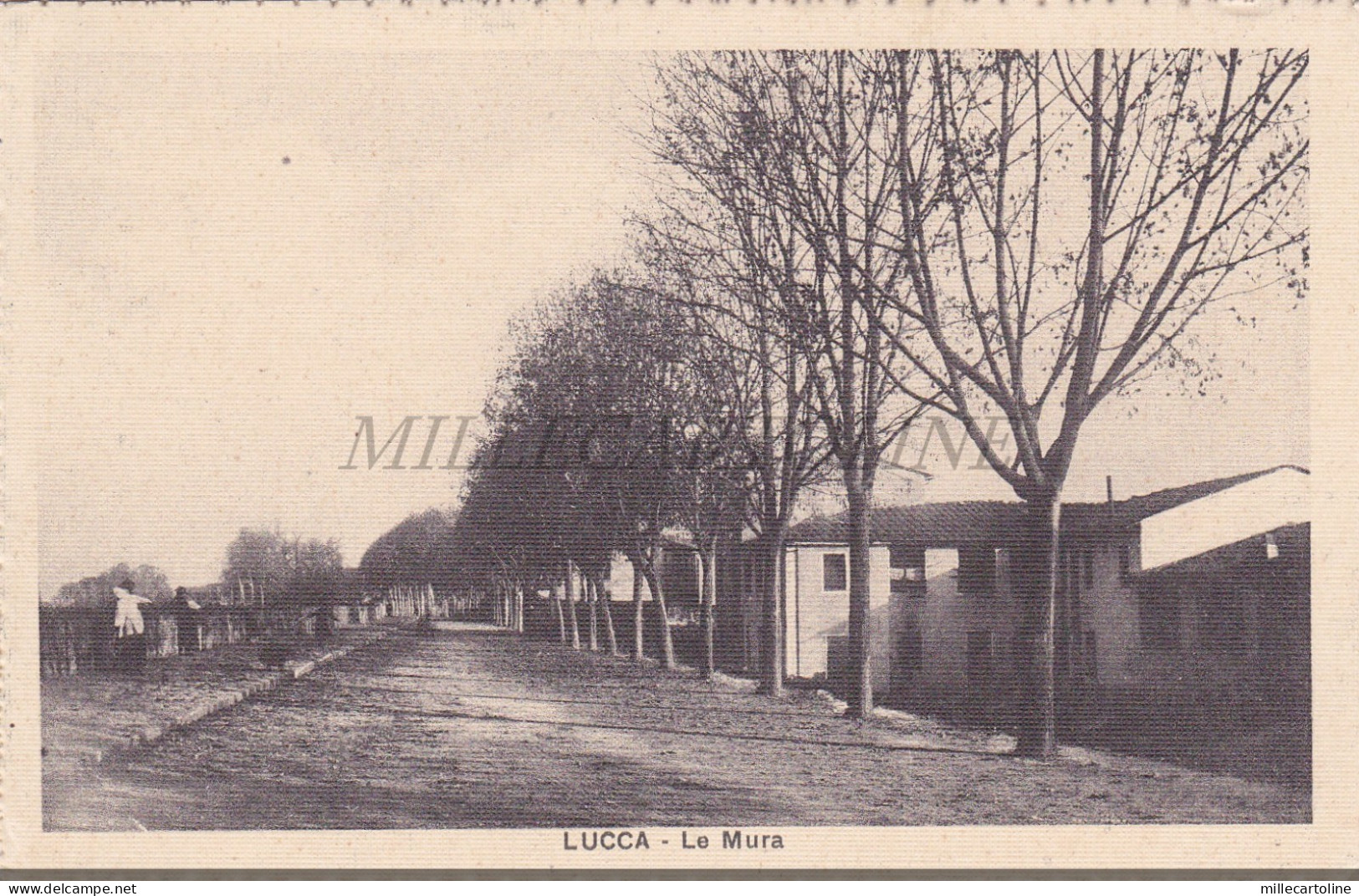 LUCCA - Le Mura, Cartolina