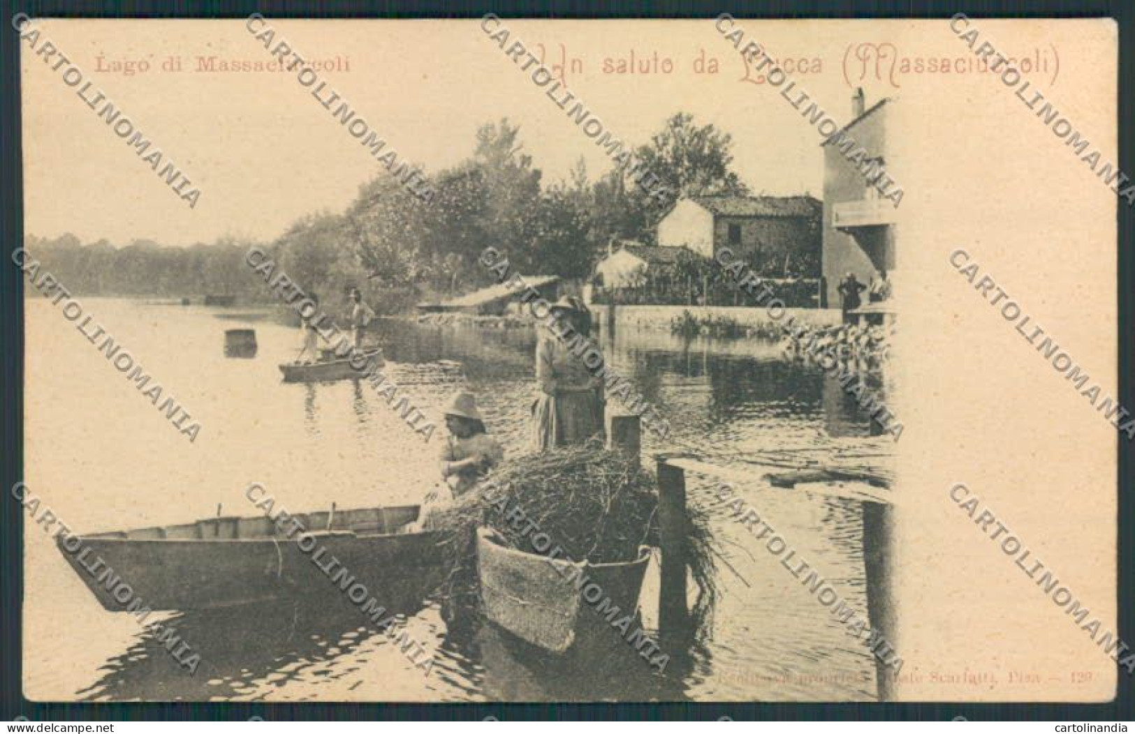 Lucca Massaciuccoli cartolina MV3958