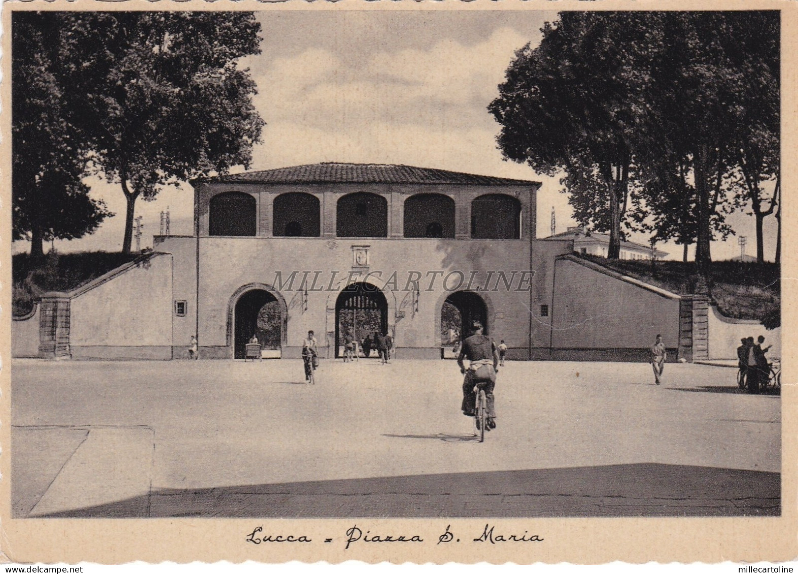 LUCCA - Piazza S.Maria