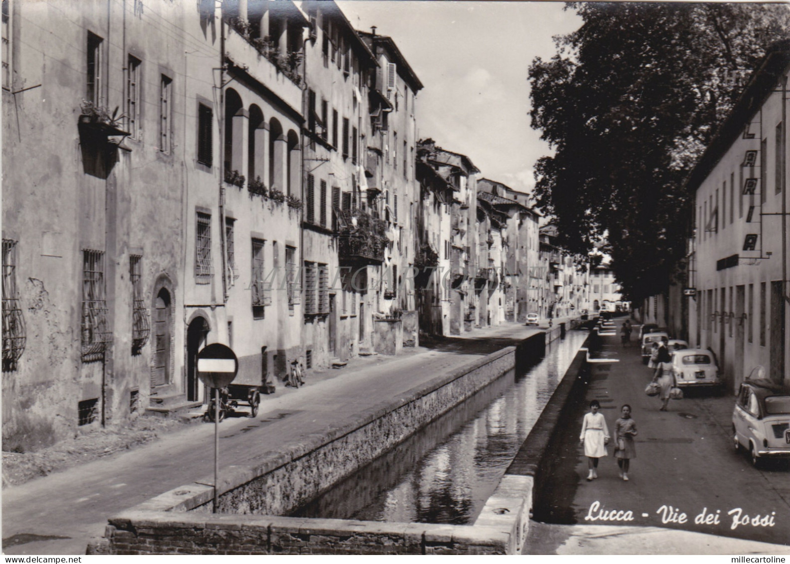 LUCCA - Via dei Fossi