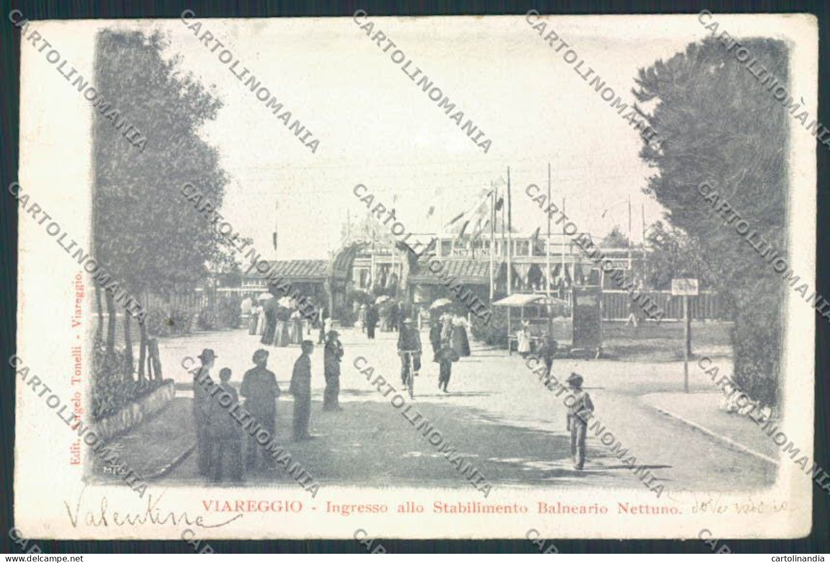 Lucca Viareggio cartolina MV4054