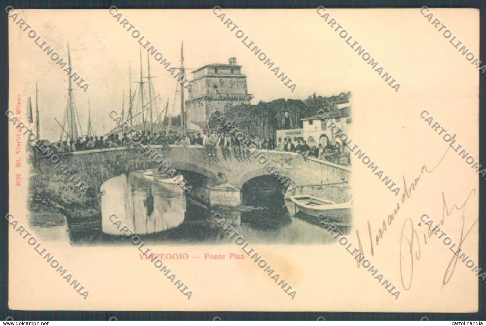 Lucca Viareggio cartolina ZB5502