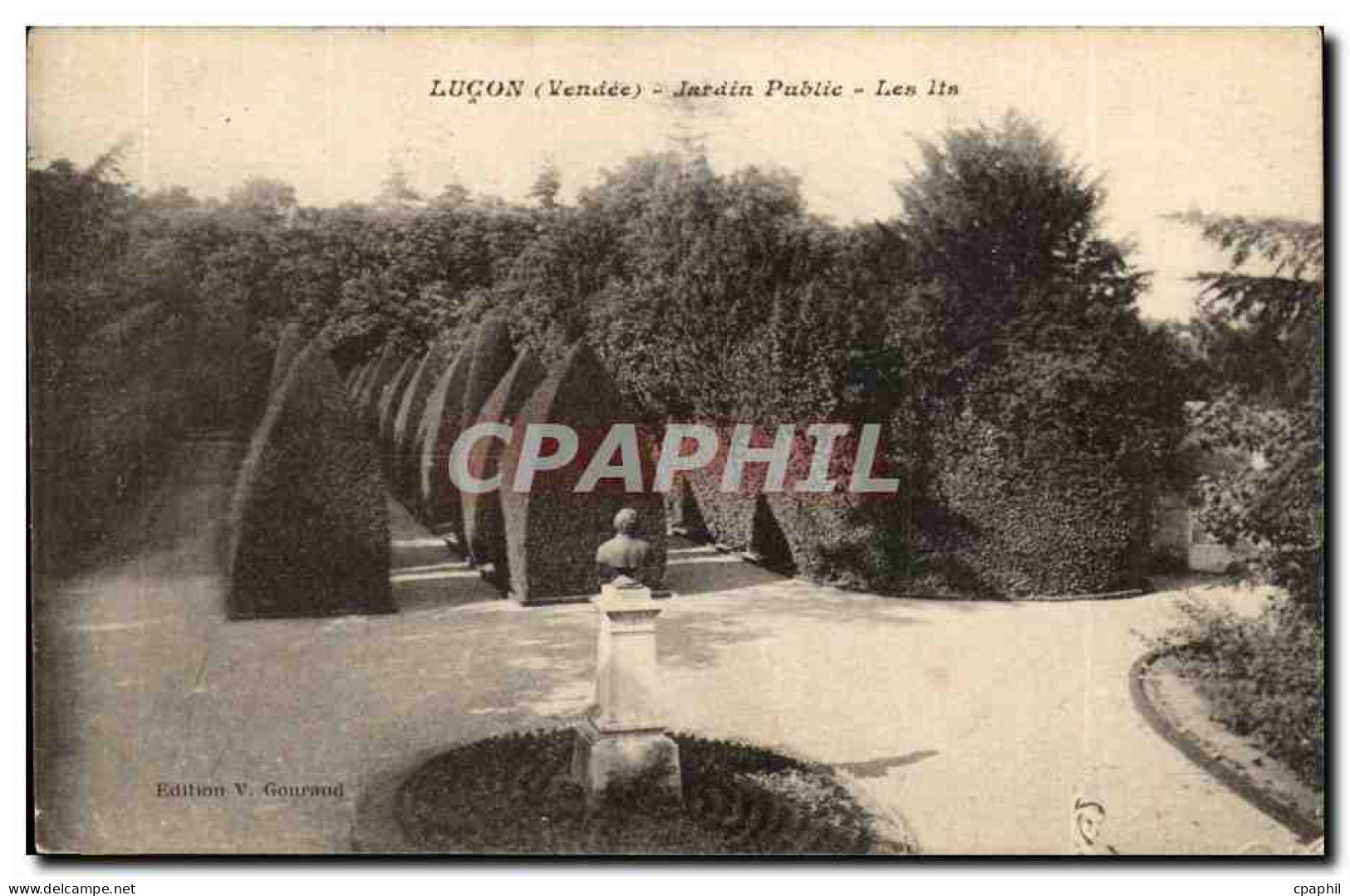 Lucon CPA Jardin public Les lis