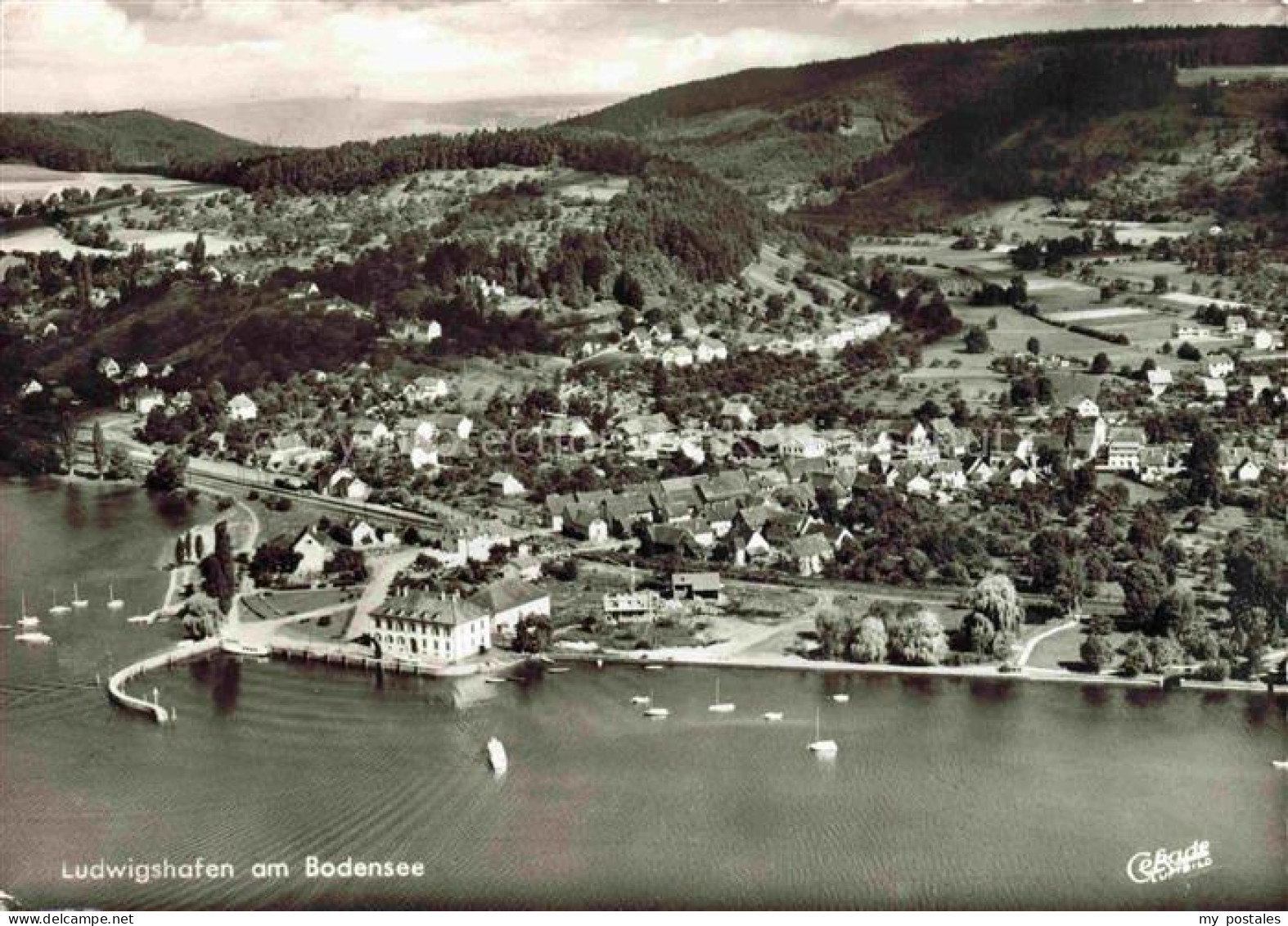 Ludwigshafen Bodman-Ludwigshafen Bodensee Fliegeraufnahme