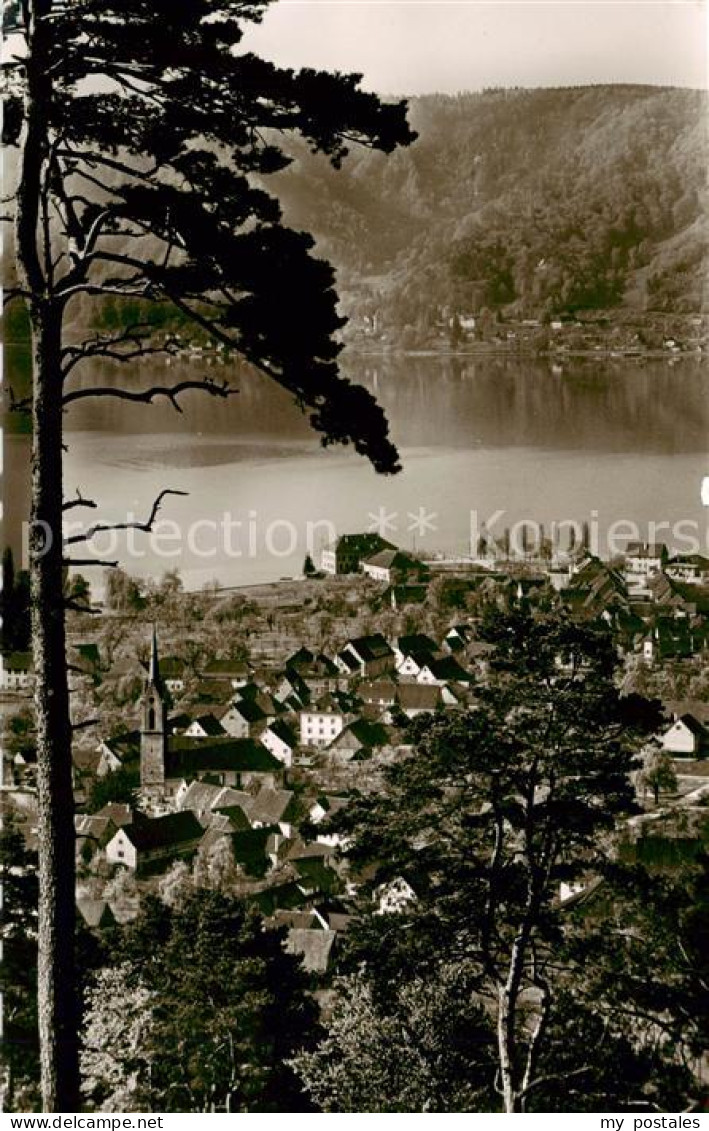 Ludwigshafen Bodman-Ludwigshafen Bodensee Panorama