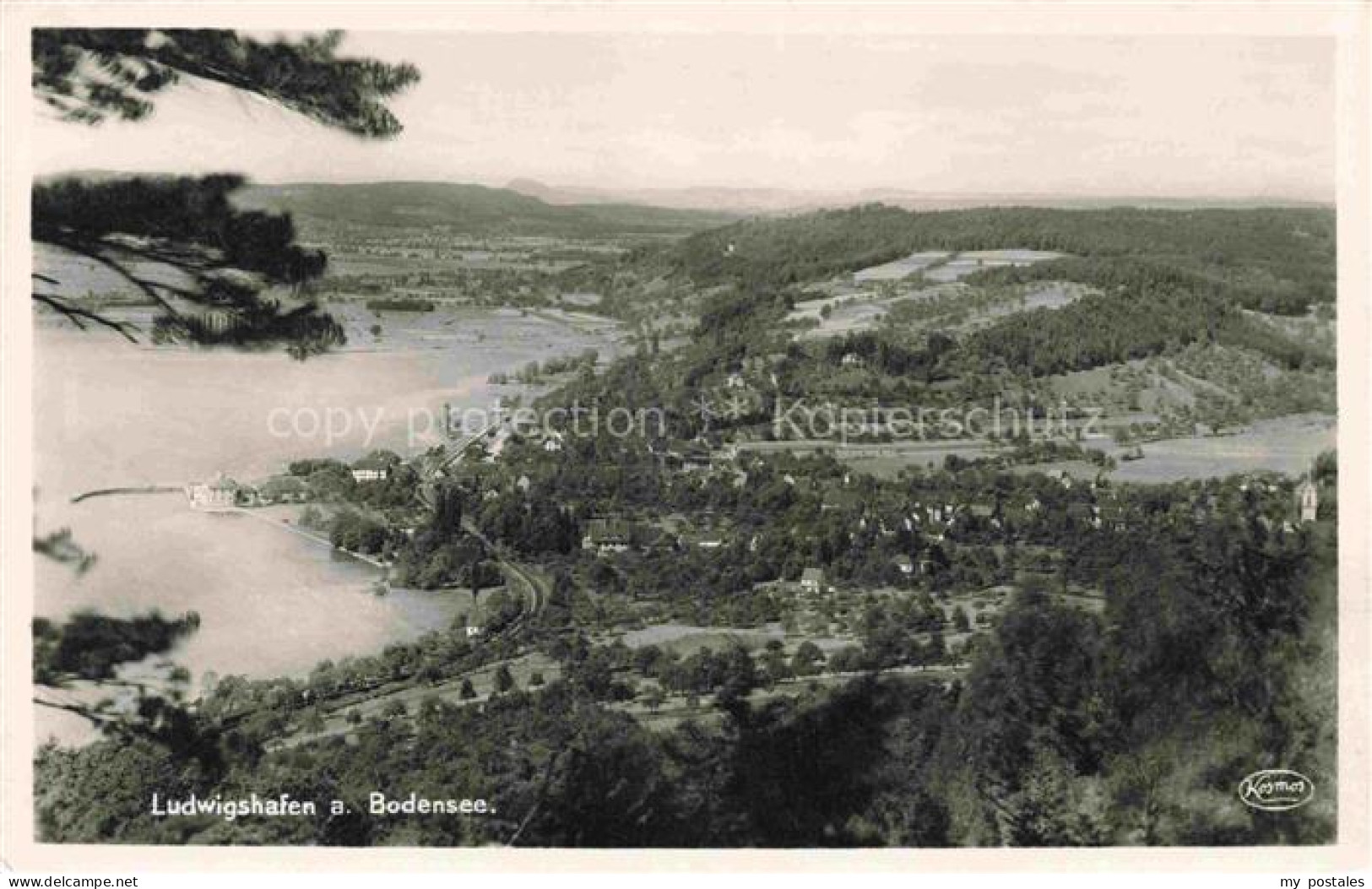 Ludwigshafen Bodman-Ludwigshafen Bodensee Panorama