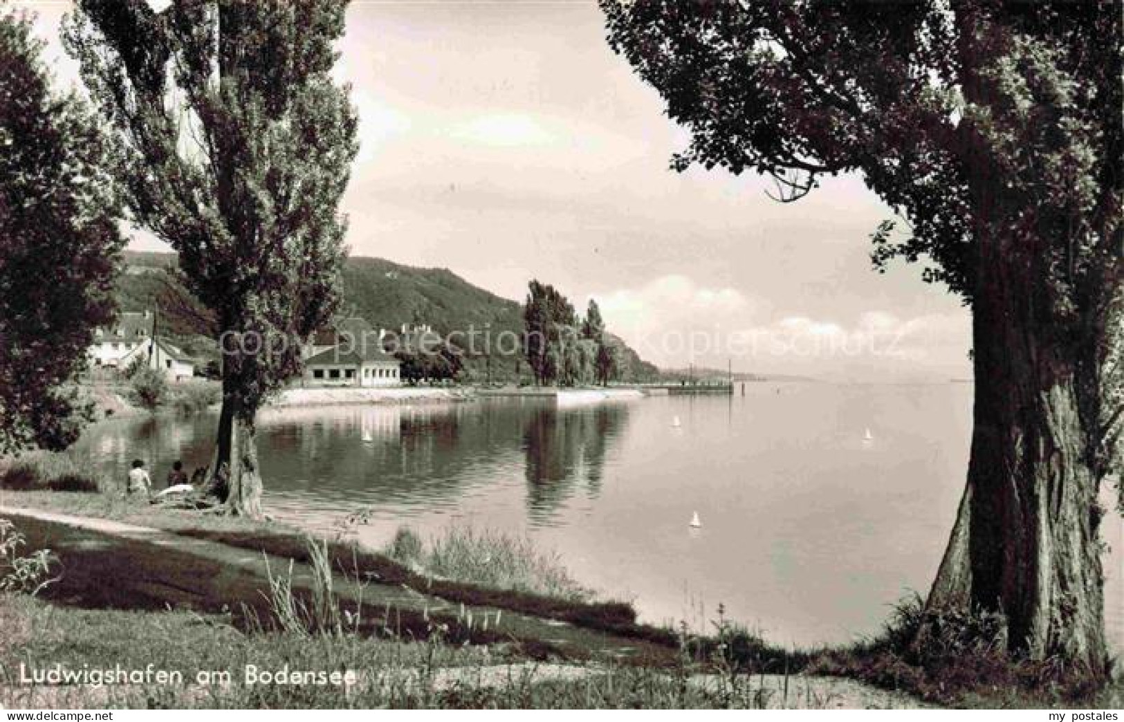 Ludwigshafen Bodman-Ludwigshafen Bodensee Seepanorama