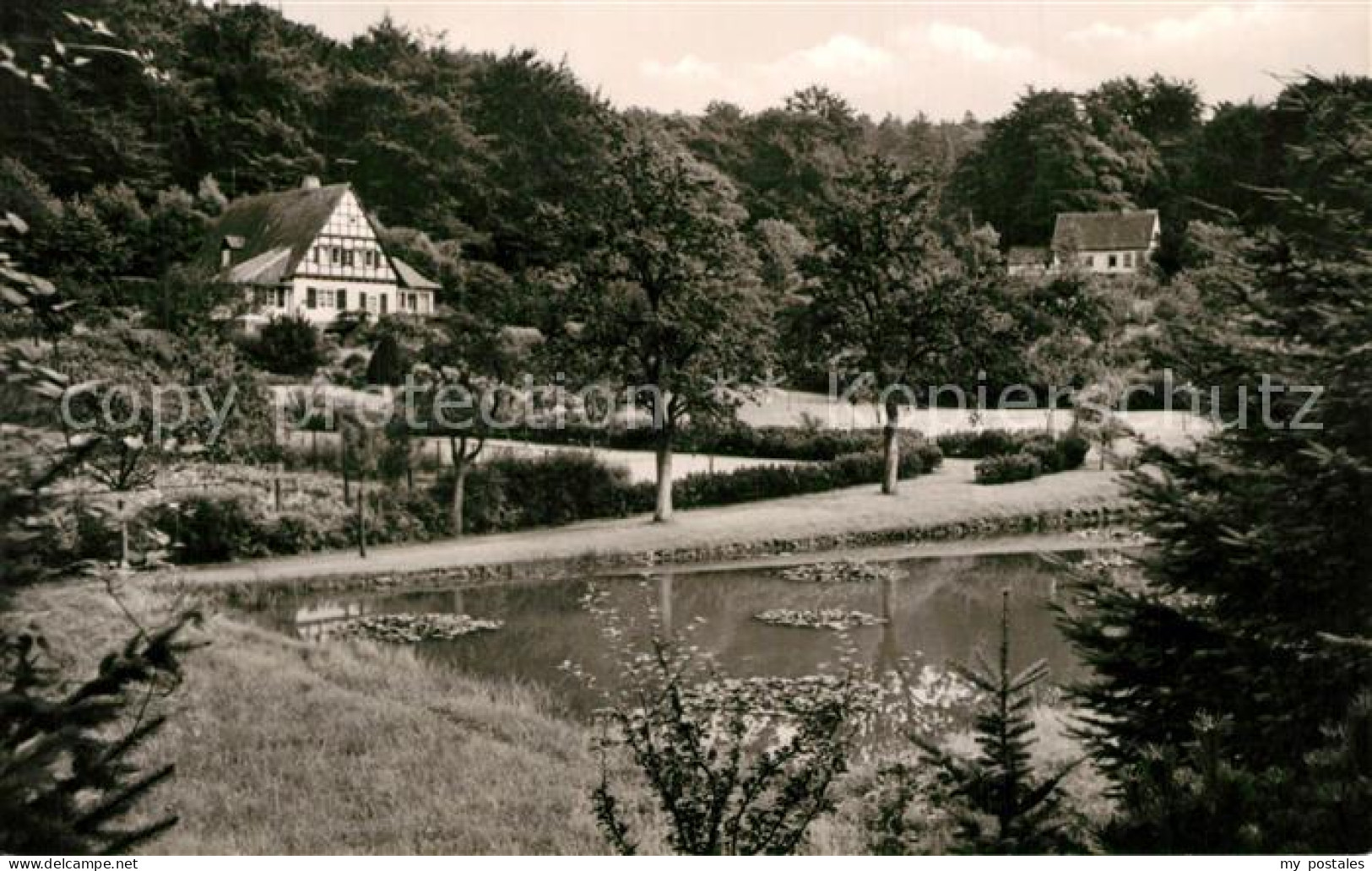 Luebbecke Westfalen Barre Teich