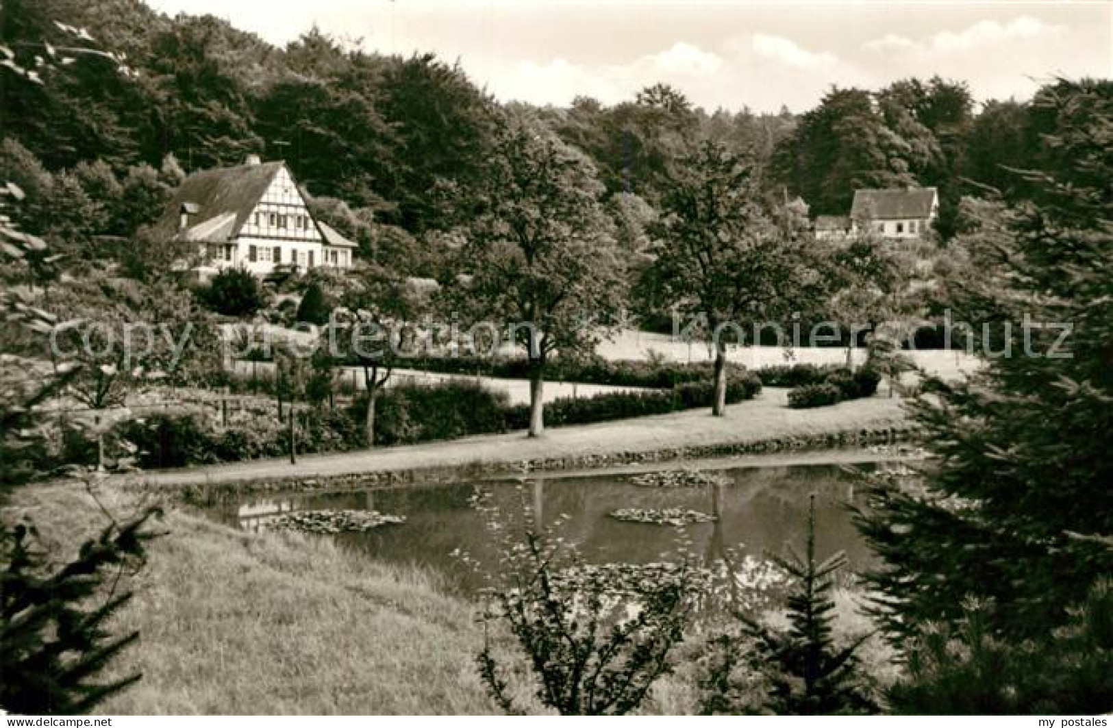 Luebbecke Westfalen Barreteich