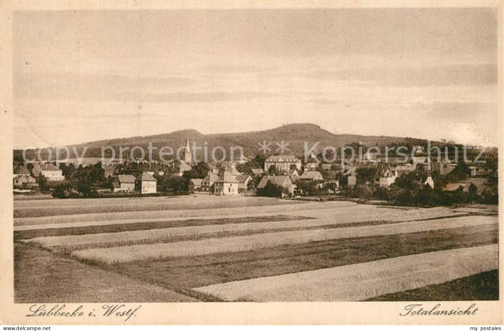 Luebbecke Westfalen Panorama