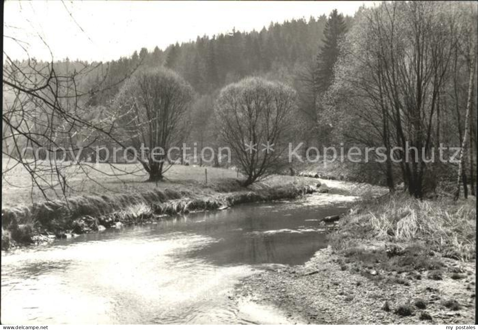 Luebbenau Spreewald Teilansicht