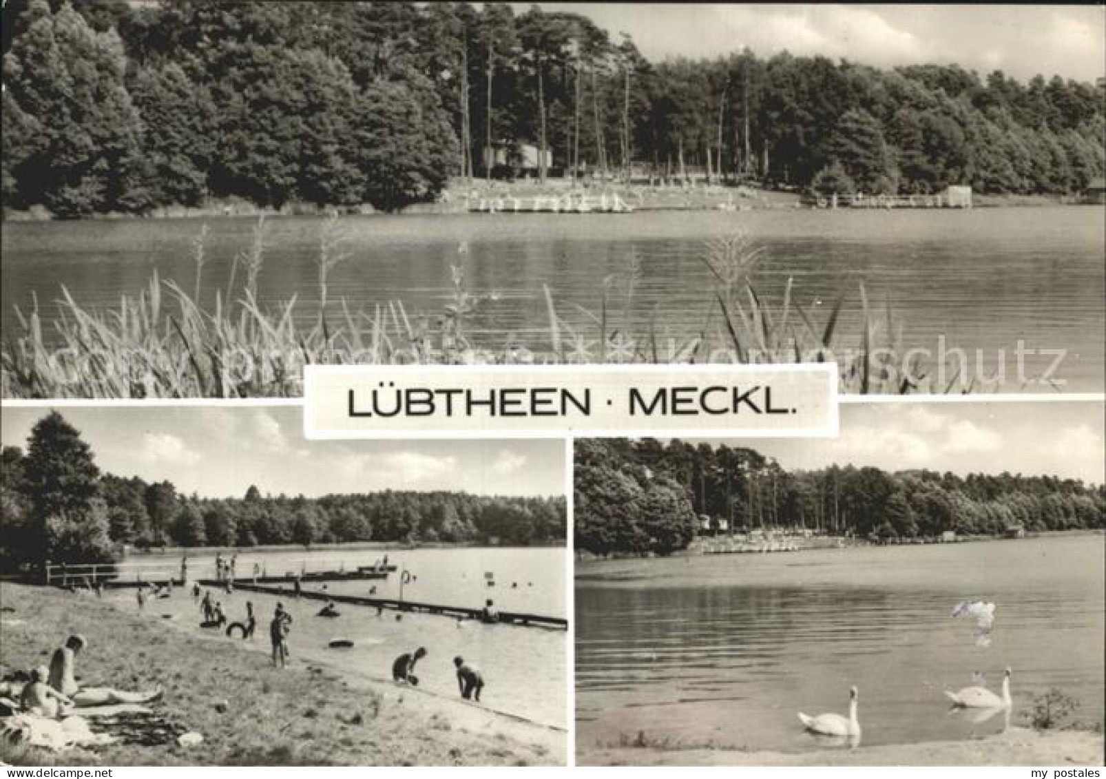 Luebtheen Uferpartie am See Badestrand Schwaene
