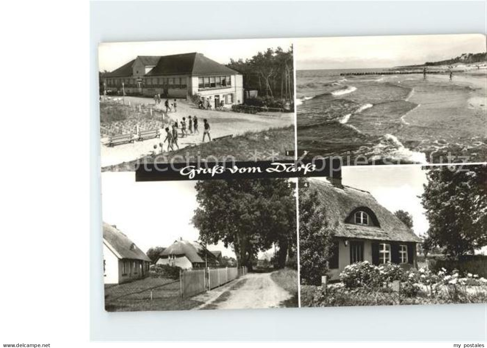 Luebz Prerow Weststrand Wieck Born