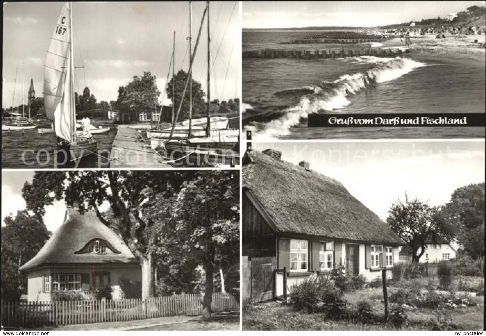 Luebz Wustrow Prerow Ahrenshoop Wieck