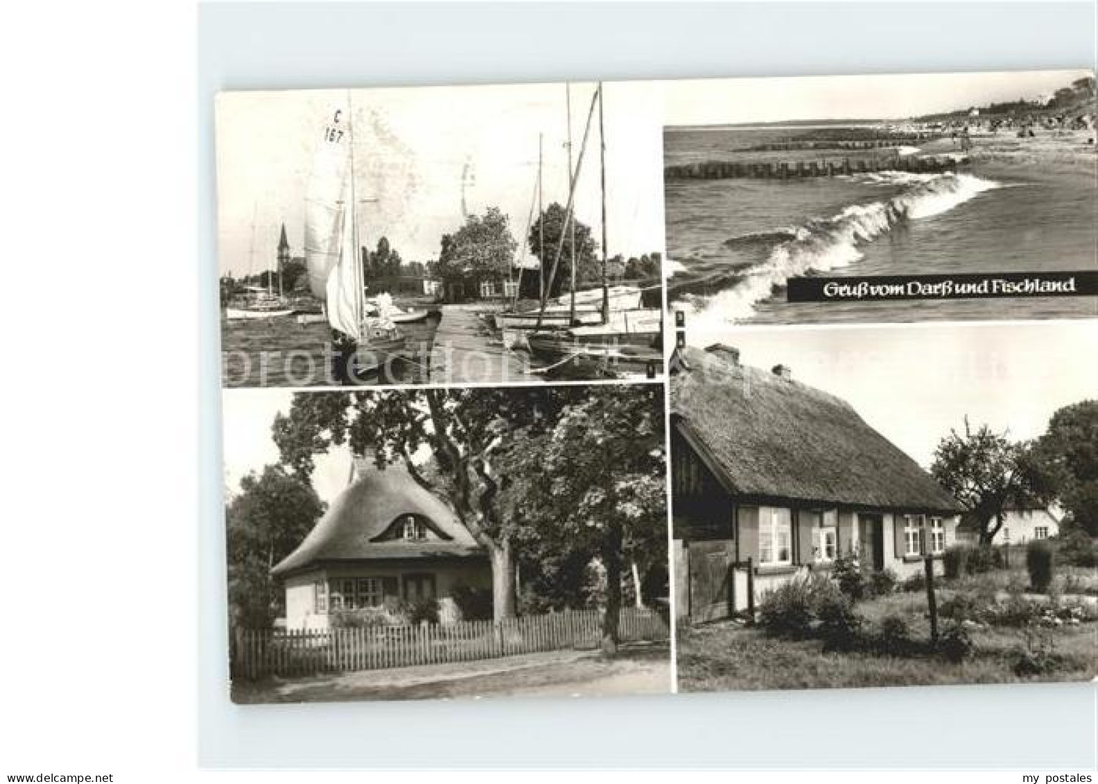 Luebz Wustrow Prerow Ahrenshoop Wieck