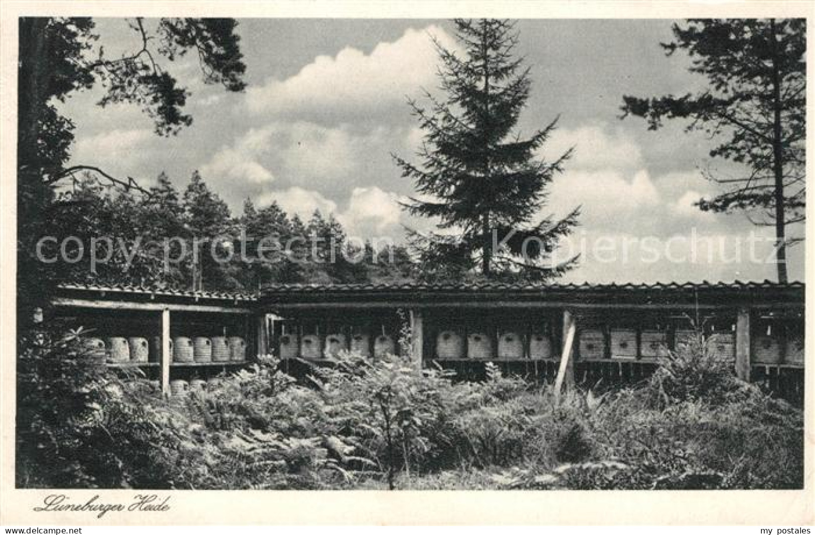Lueneburger Heide Bienenkoerbe