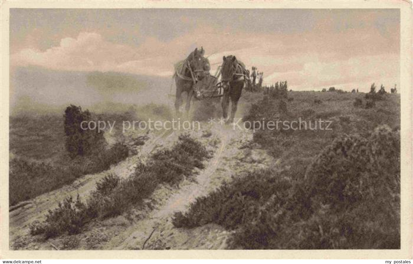LueNEBURGER HEIDE HAIDE Landschaftspanorama Lueneburger Heide Durch wilde Heide