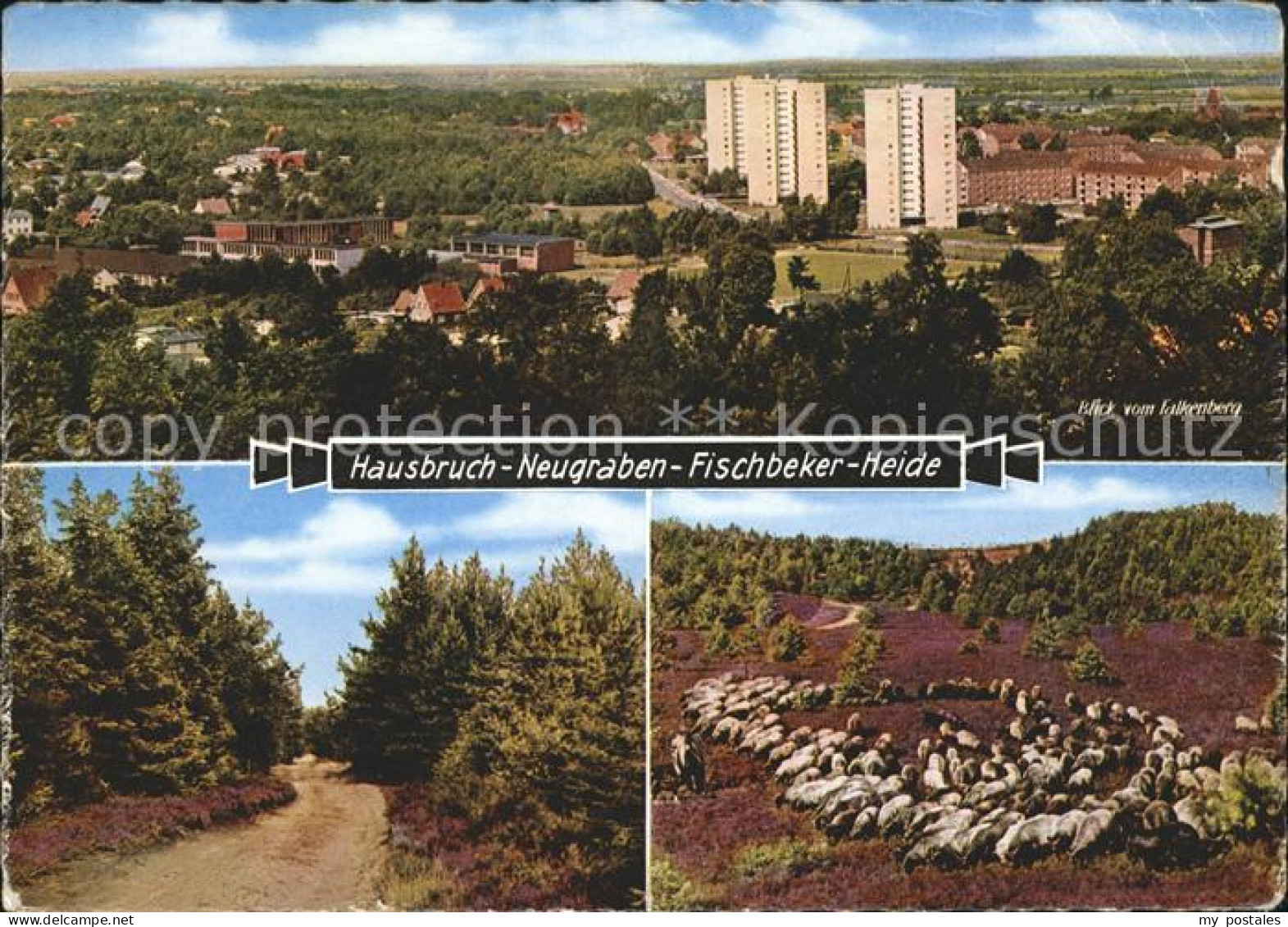 Lueneburger Heide Hausbruch Neugraben Fischbeker Heide Falkenberg