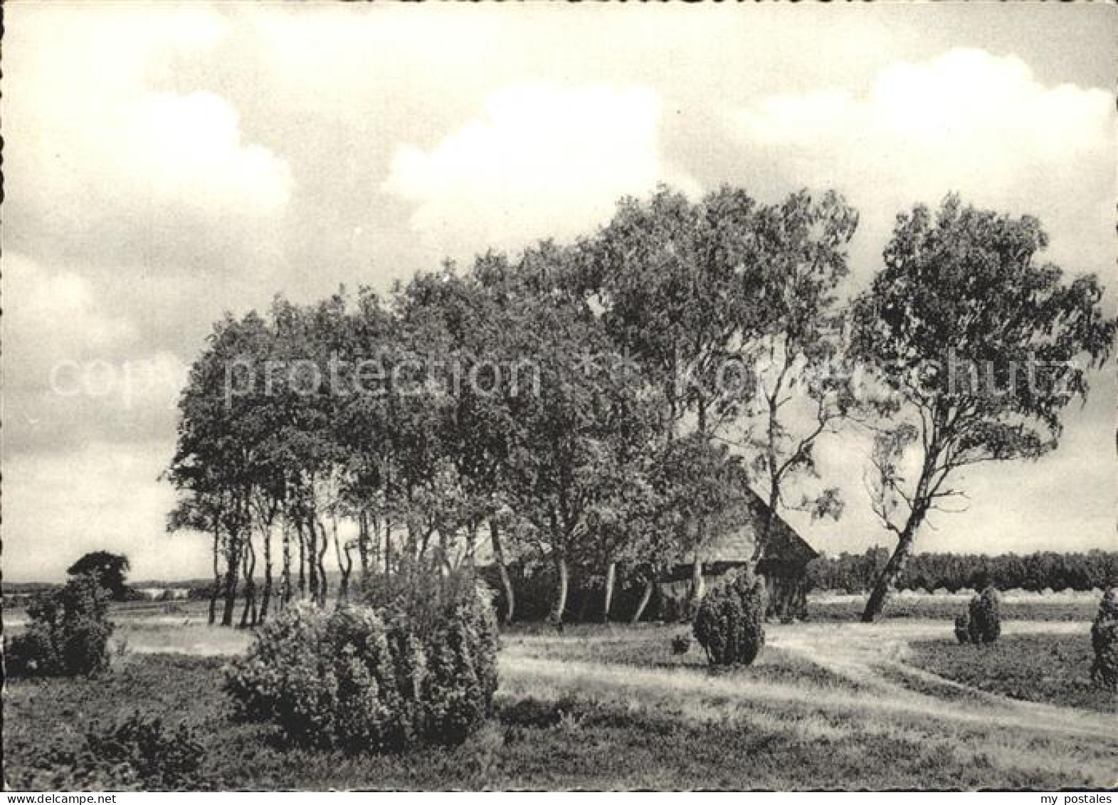 Lueneburger Heide Schnuckenstall