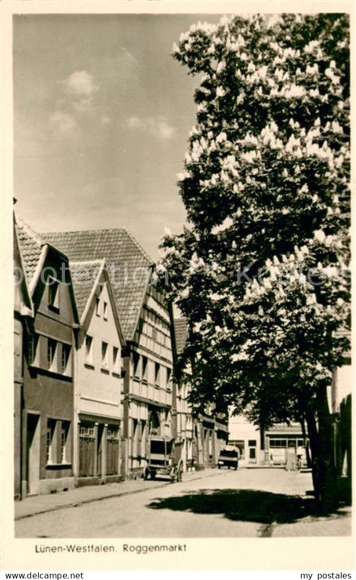 Luenen UNNA NRW Roggenmarkt Kastanienbaum