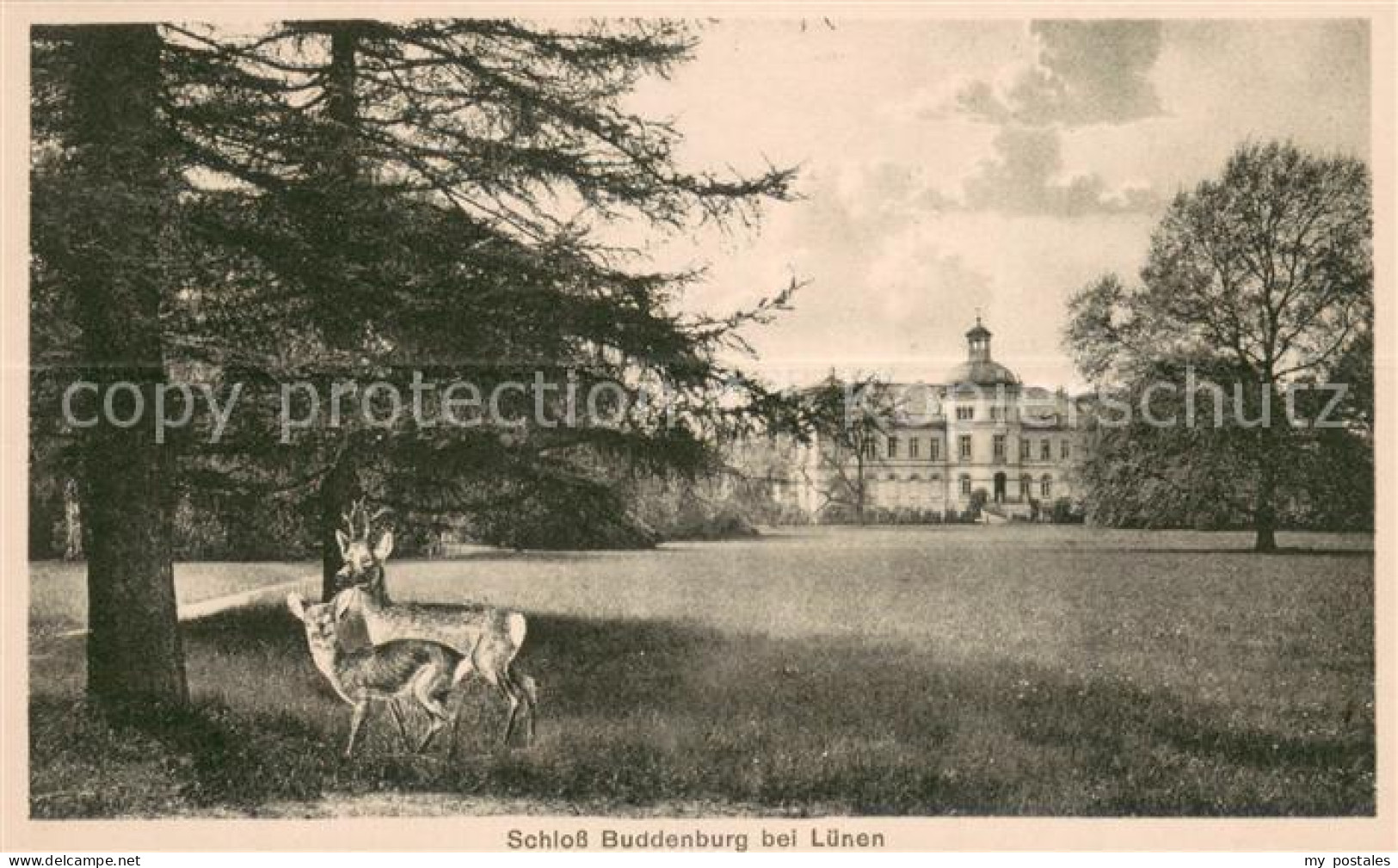 Luenen UNNA NRW Schloss Buddenburg Rehe Parkanlagen Kuenstlerkarte