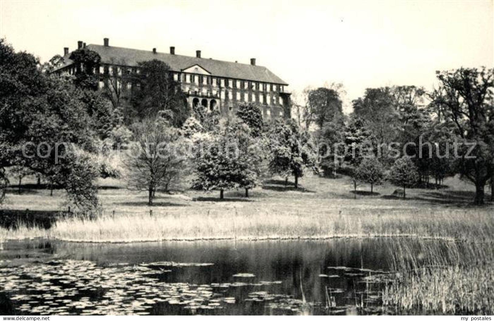 Luenen UNNA NRW Schloss Cappenberg Seerosenteich