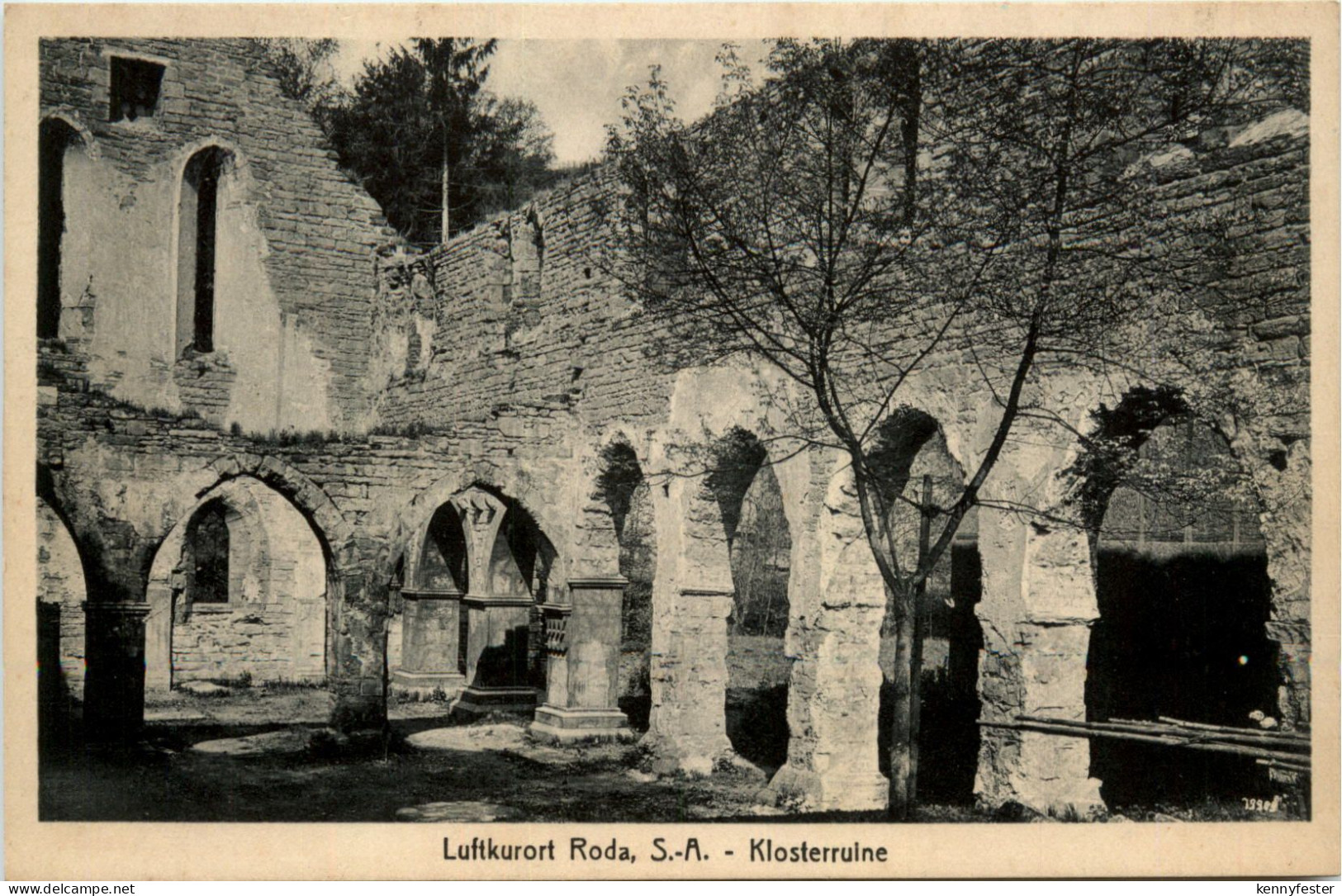 Luftkurort Stadtroda, Klosterruine