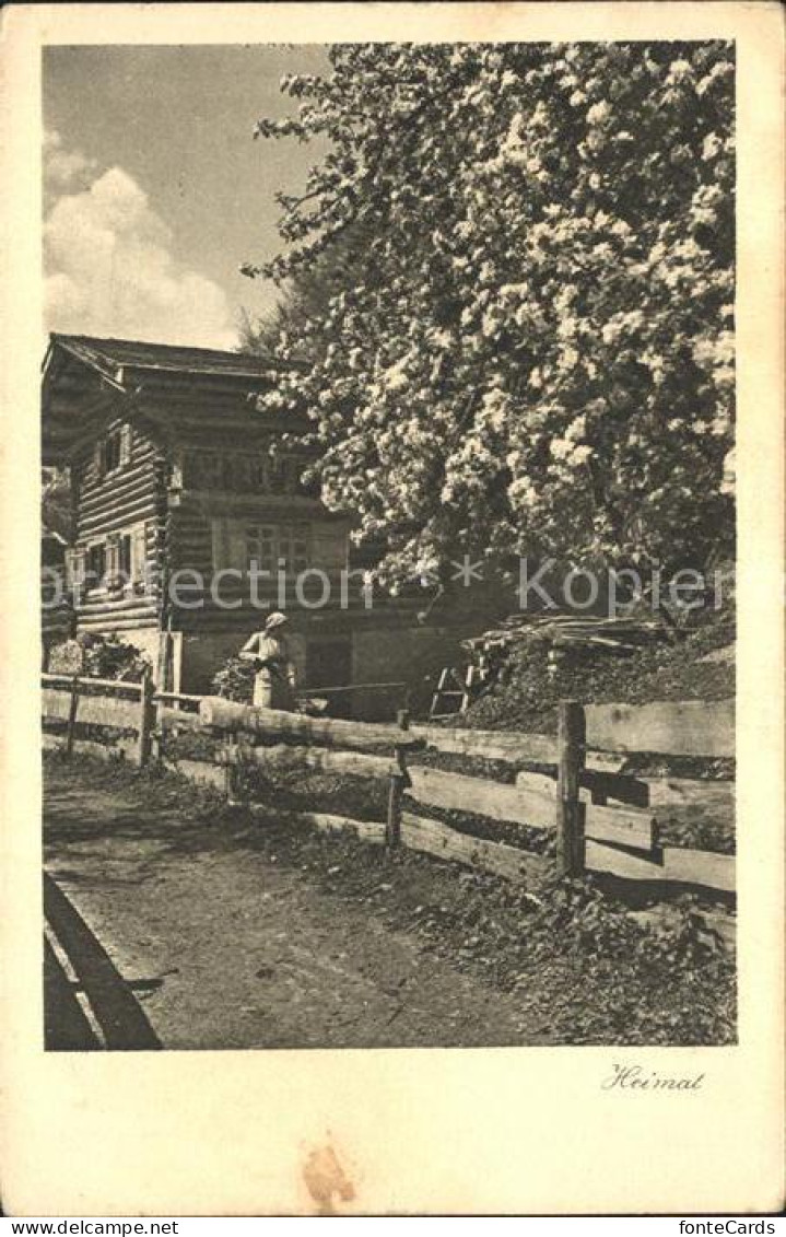 Lunden Schiers ---