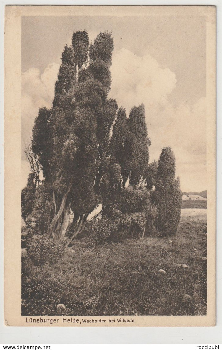 Lüneburger Heide