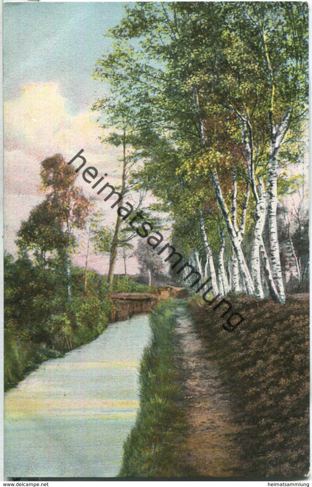 Lüneburger Heide - Birken am Rautendorfer Graben