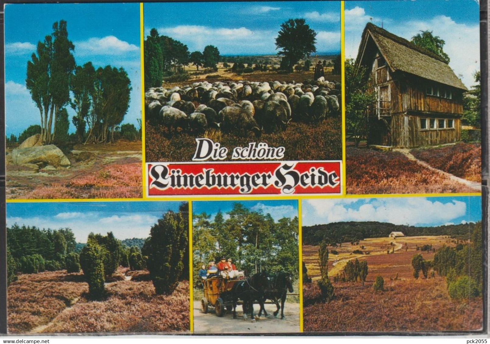 Lüneburger Heide - Die schöne Lüneburger Heide - MBK -  nicht gelaufen (AK 6705)