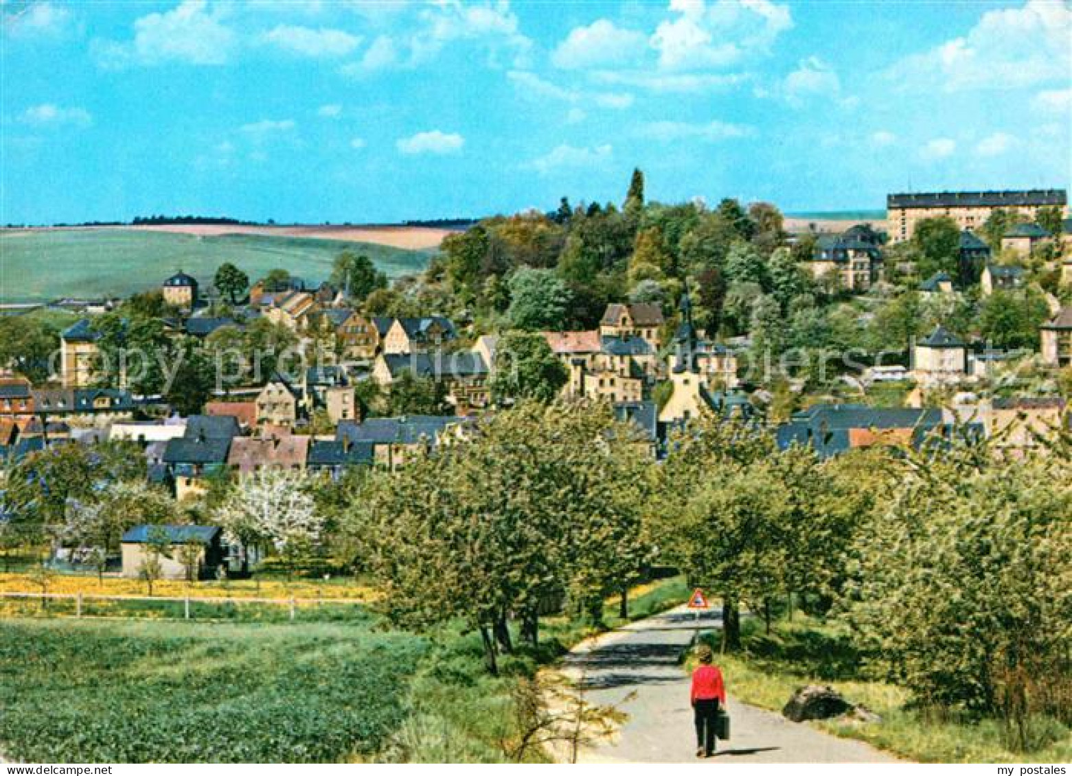 Lunzenau Panorama