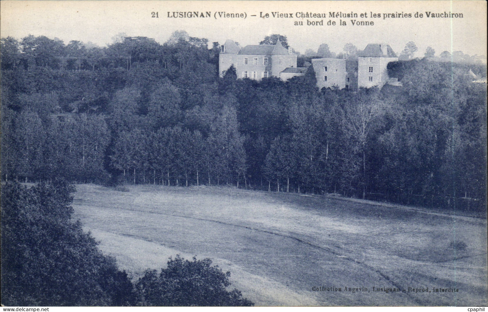 Lusignan CPA Le vieux chateau medieval et les prairies de Vauchiron au bord de la Vonne