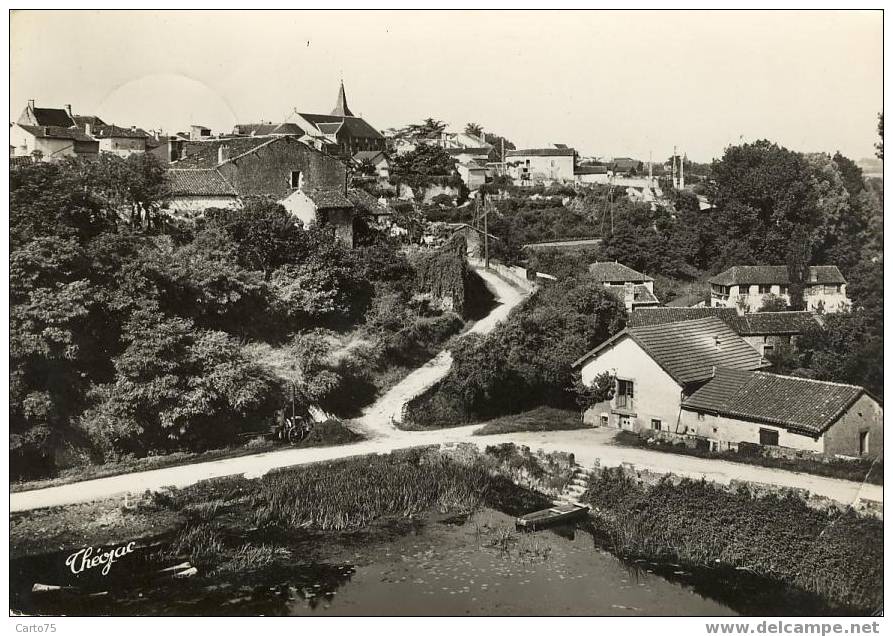 LUSSAC les CHATEAUX 86 - Vue générale