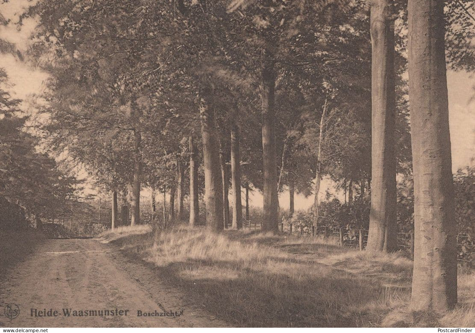 Lusthof Lekkerbek Hotel Pension Waasmunster Belgium Postcard