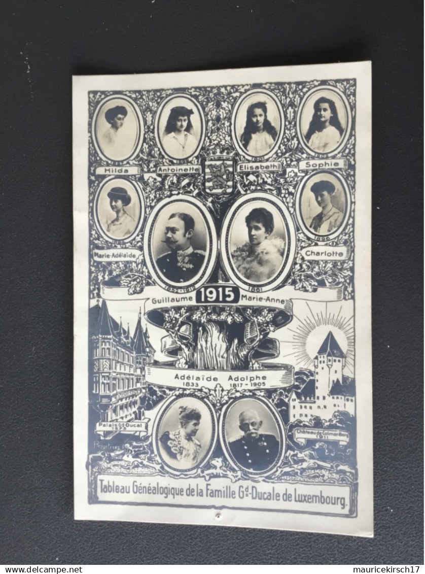 Luxembourg carte photo de la famille grand ducale tableau genealogique 1915