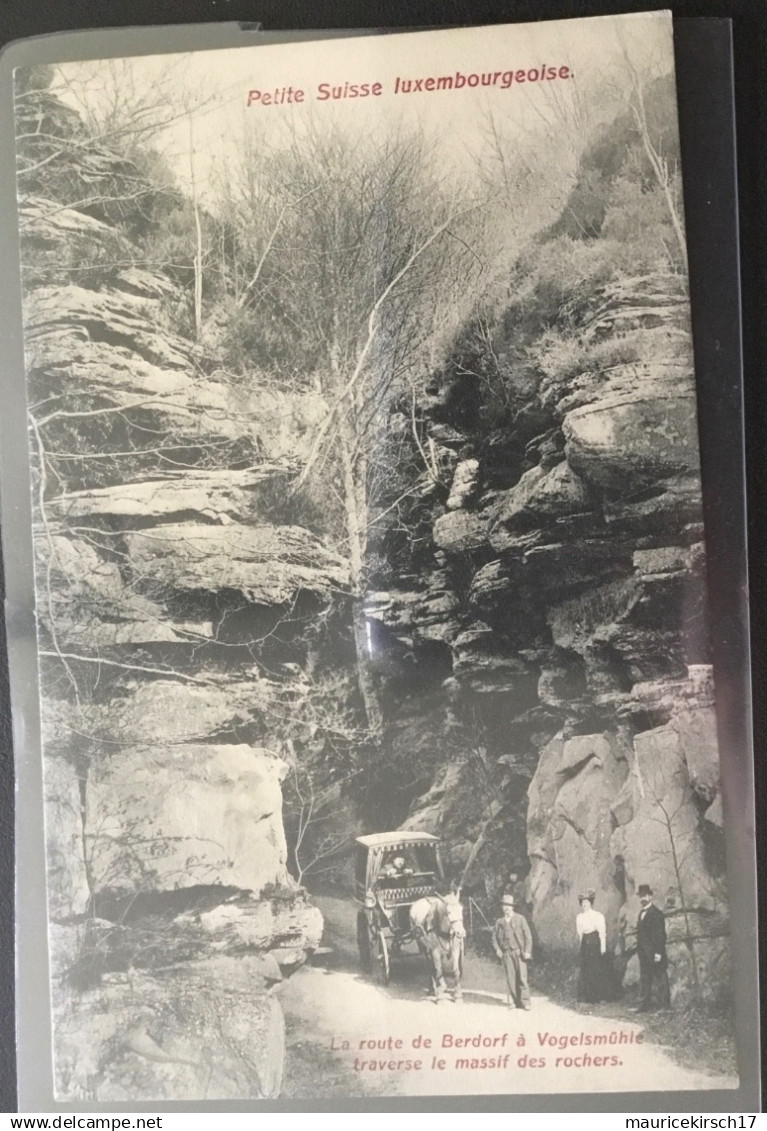 Luxembourg carte postale de Müllerthal Petite Suisse
