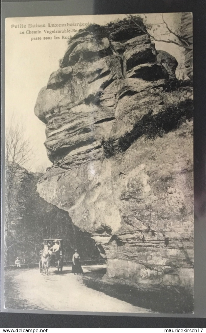 Luxembourg carte postale de Müllerthal Petite Suisse