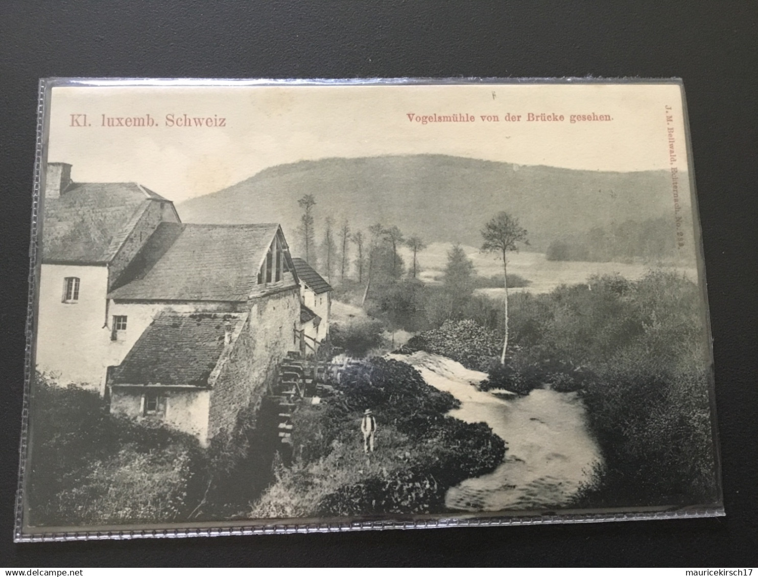 Luxembourg carte postale de Müllerthal Petite Suisse