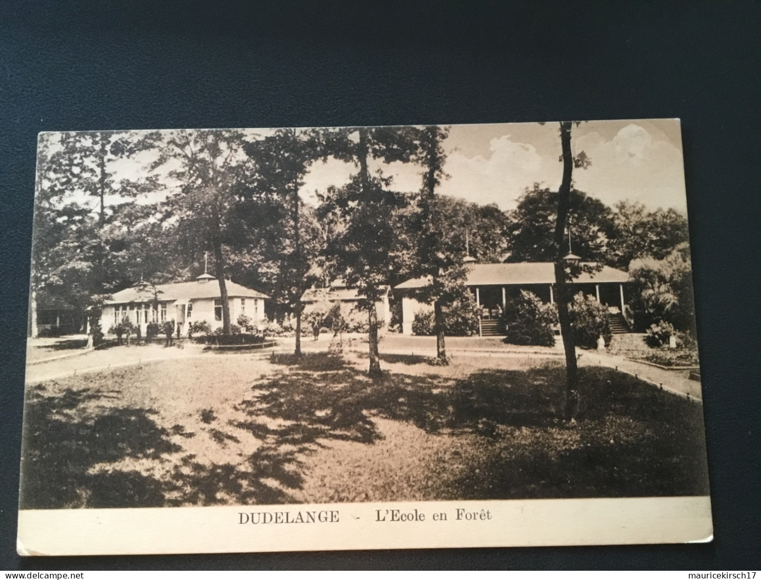 Luxembourg carte postale Dudelange ecole en foret