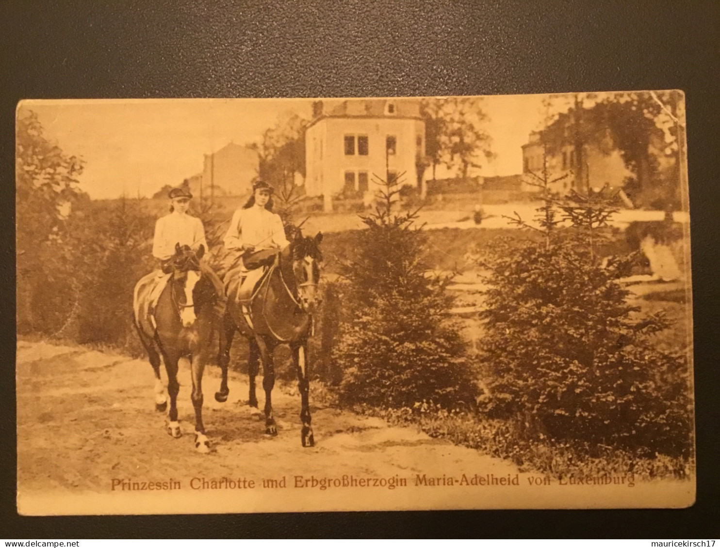Luxembourg carte postale famille grand-ducale Adel royalty Pferde chevaux