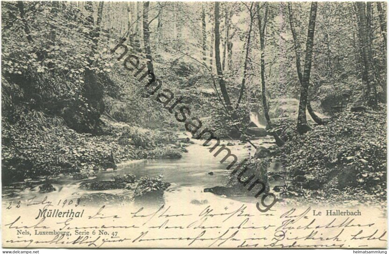 Luxembourg - Müllerthal - Le Hallerbach - Verlag Nels Luxemburg gel. 1903