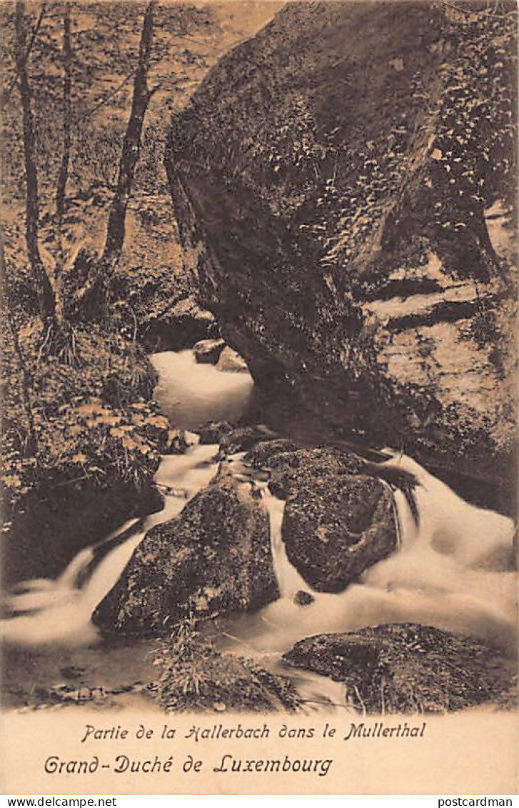 Luxembourg - Partie de la Hallerbach dans le Mullerthal - Ed. O. Schleich