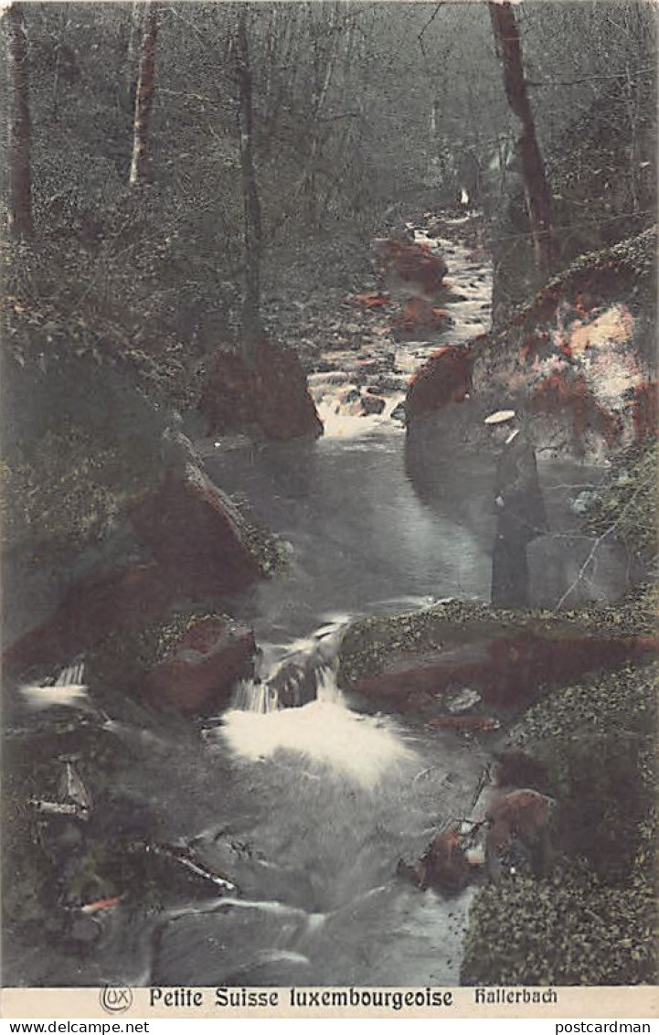 Luxembourg - Petite Suisse Luxembourgeoise - Hallerbach - Ed. P. C. Schoren Serie Müllerthal 24