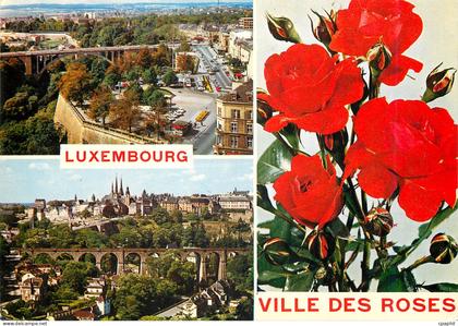CPM Luxembourg Ville des Roses